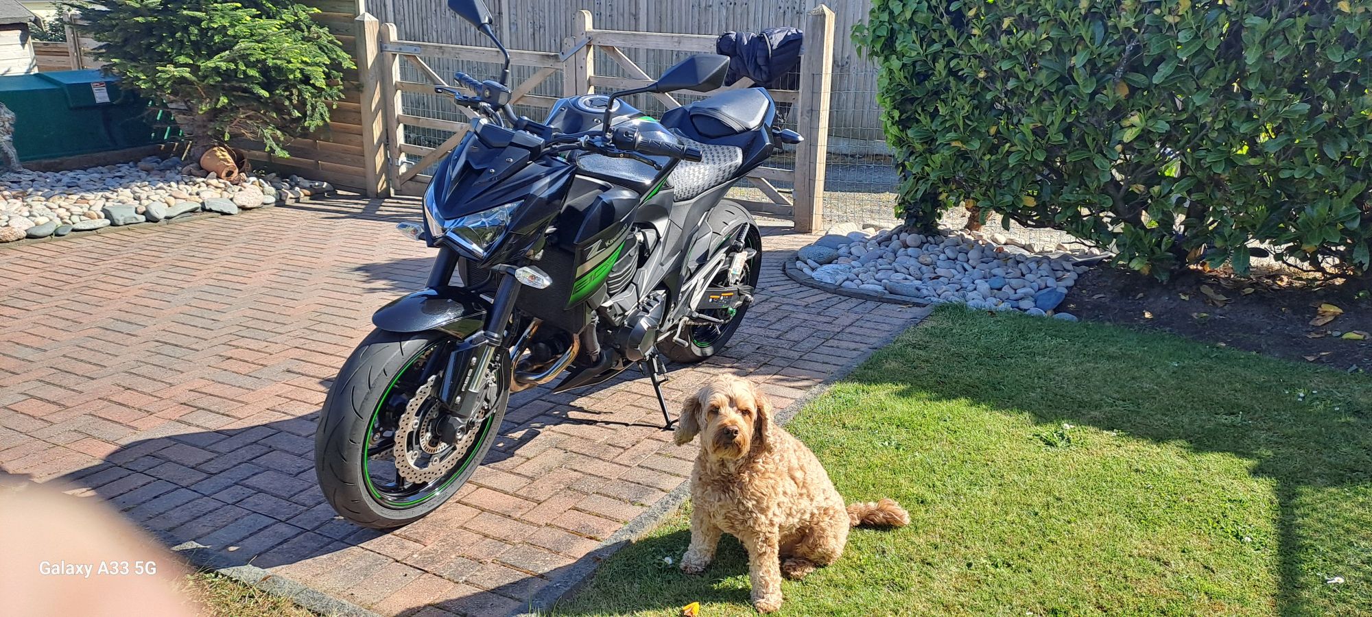 Kawasaki Z800 ABS