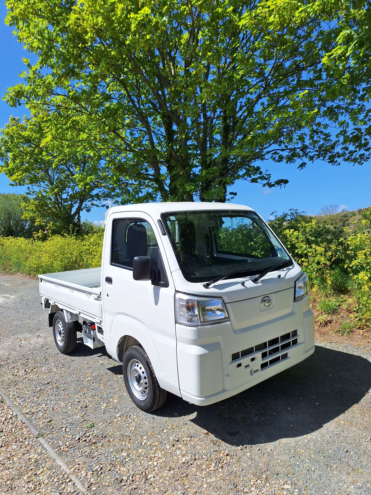 Daihatsu Hi-Jet Pickup 2wd Manual - New