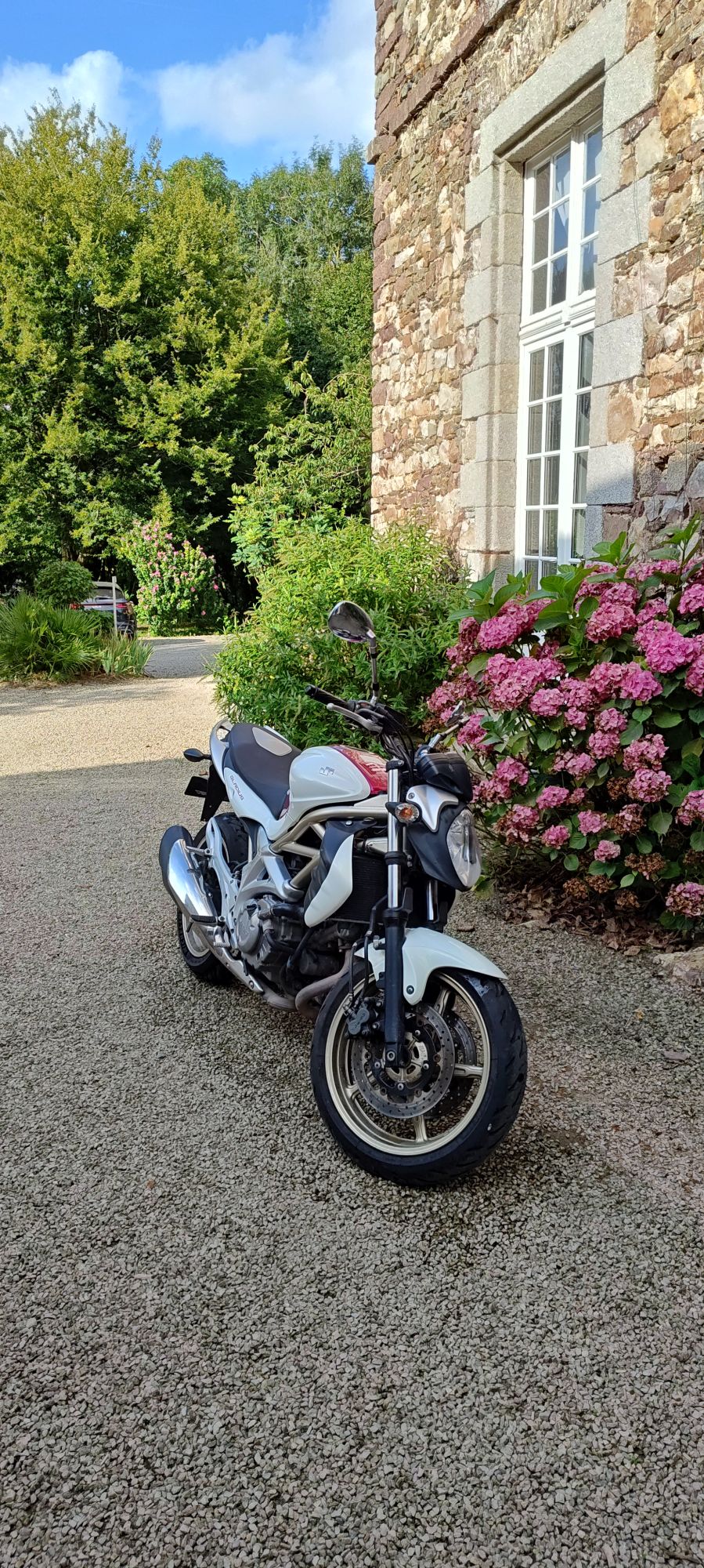 Suzuki Gladius 2009