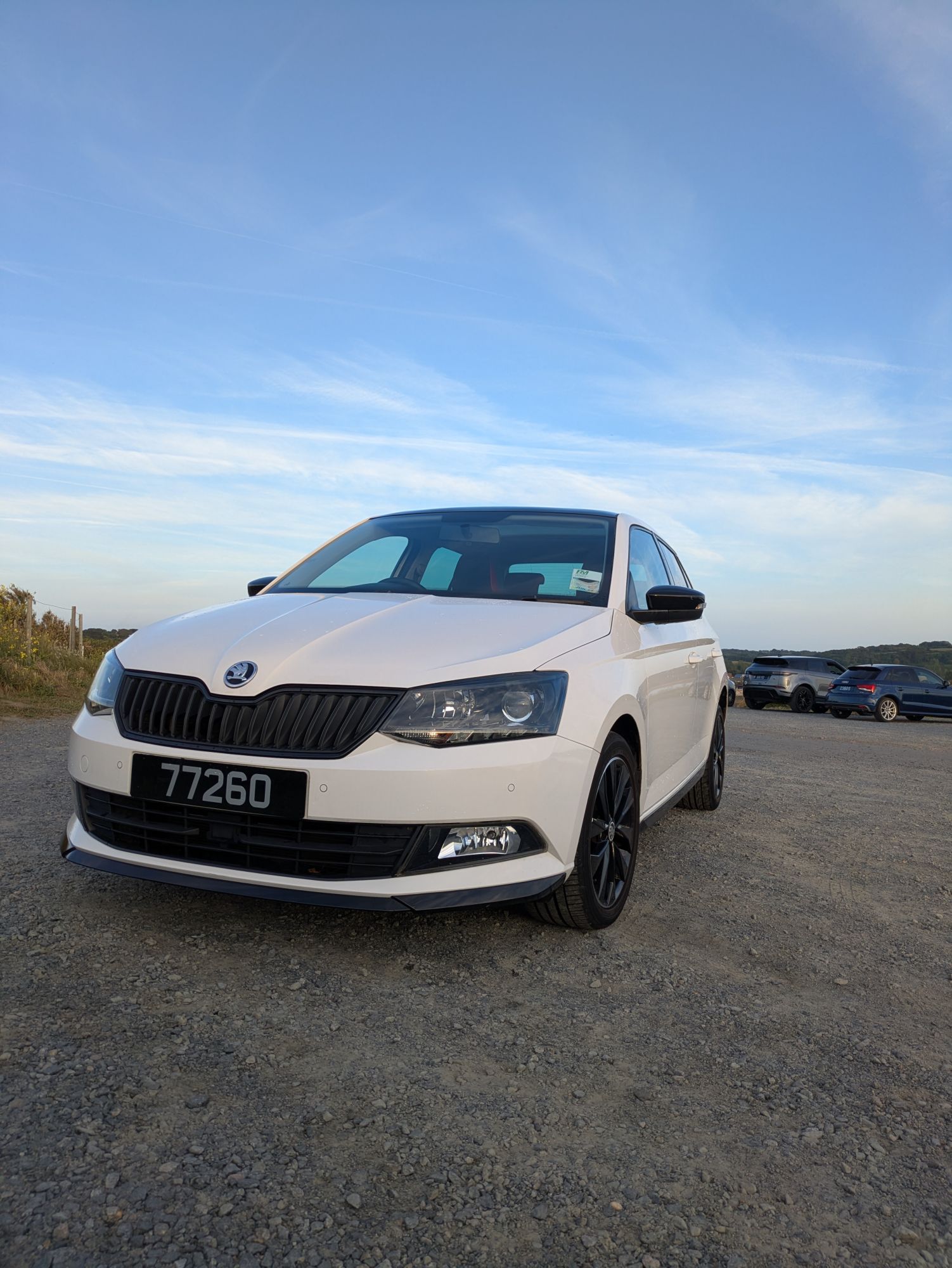 2016 Skoda Fabia Monte Carlo