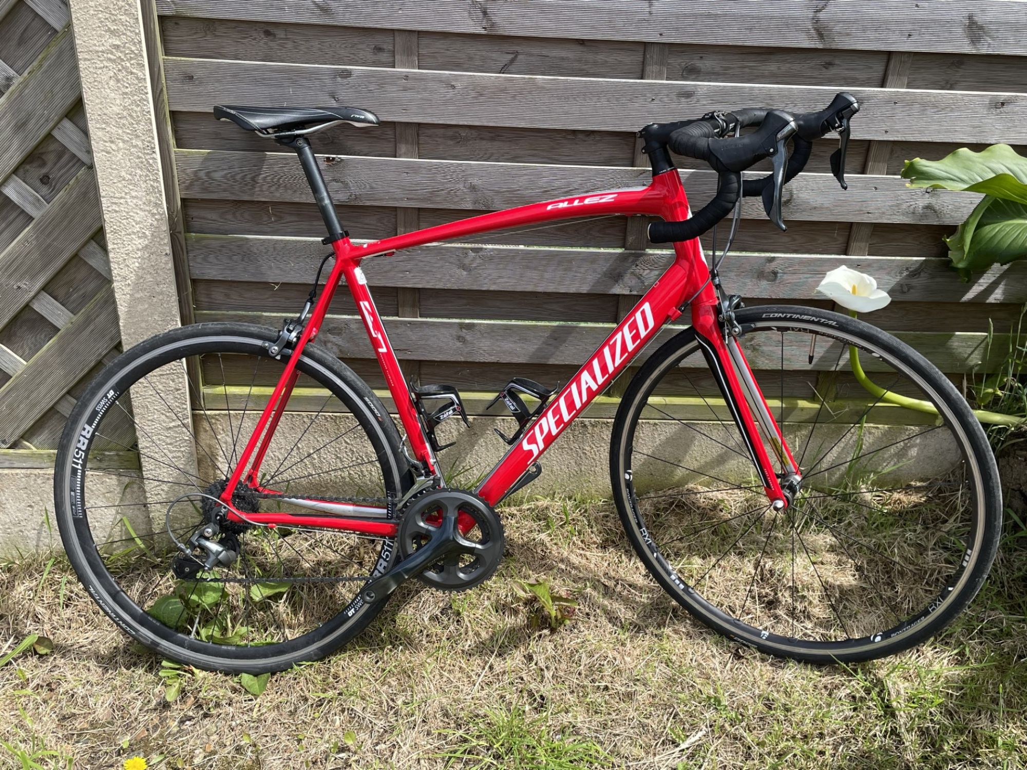 Specialized Allex XXL