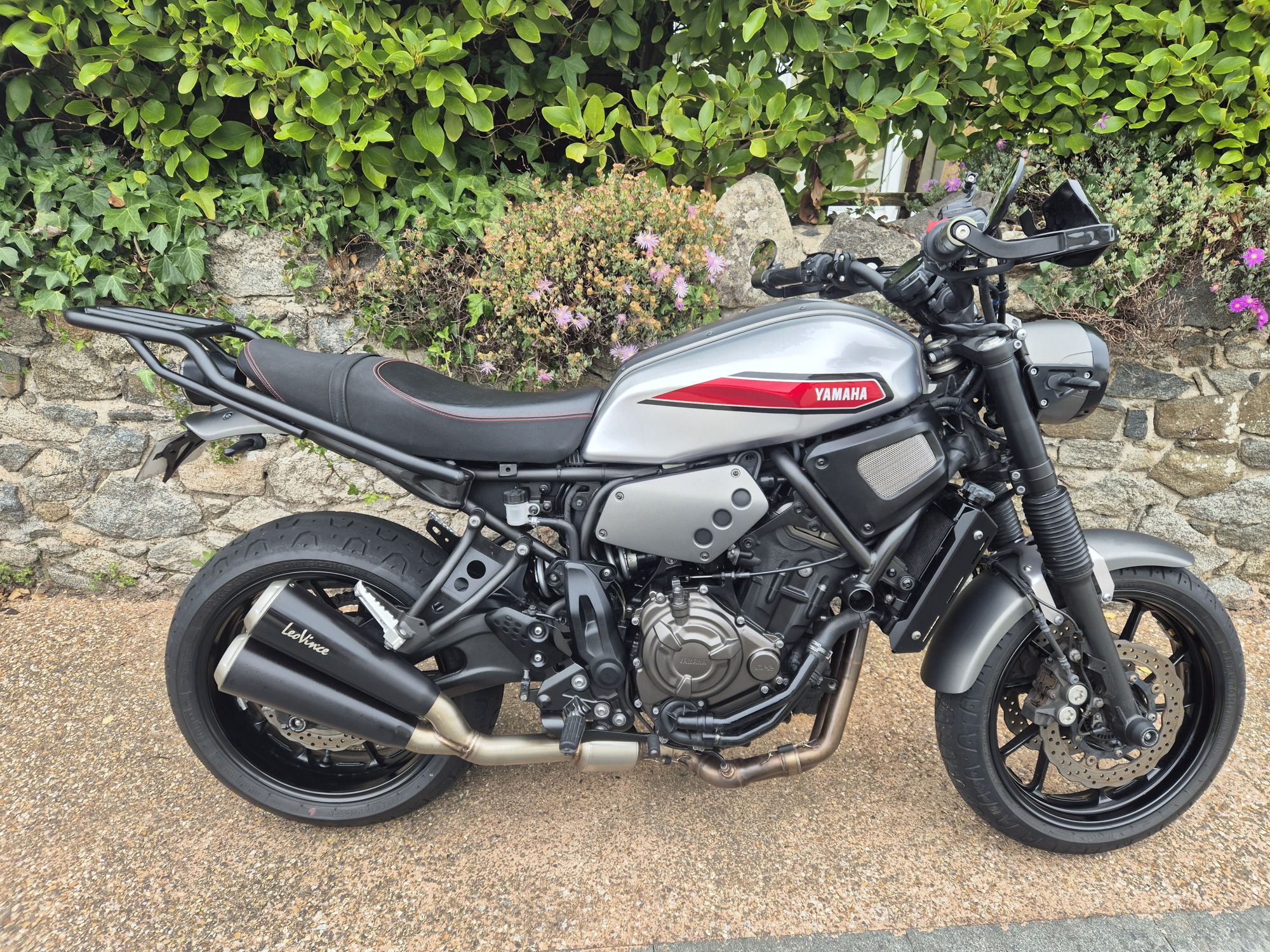 Yamaha XSR700 (2019)
