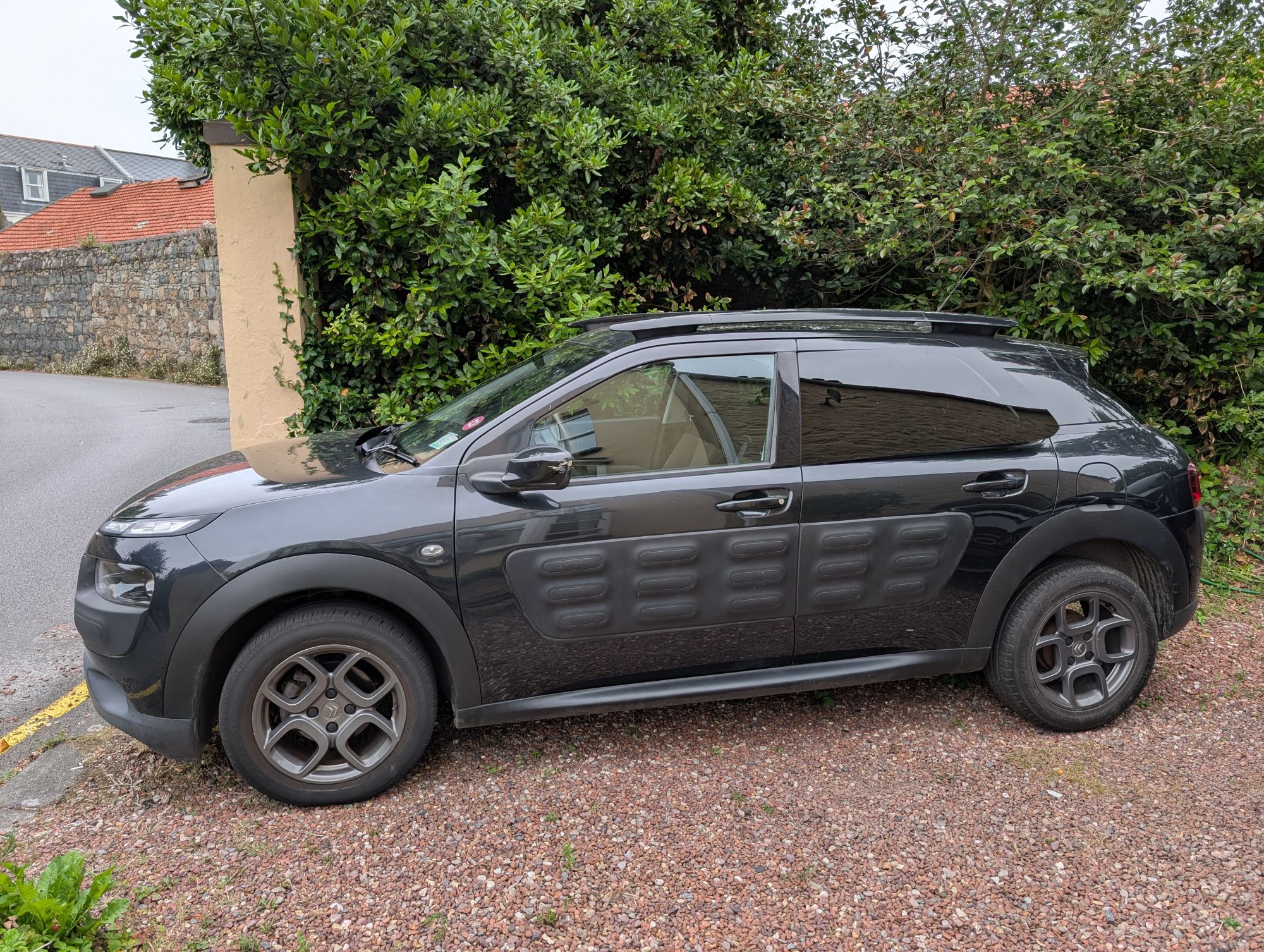 Citroen C4 cactus