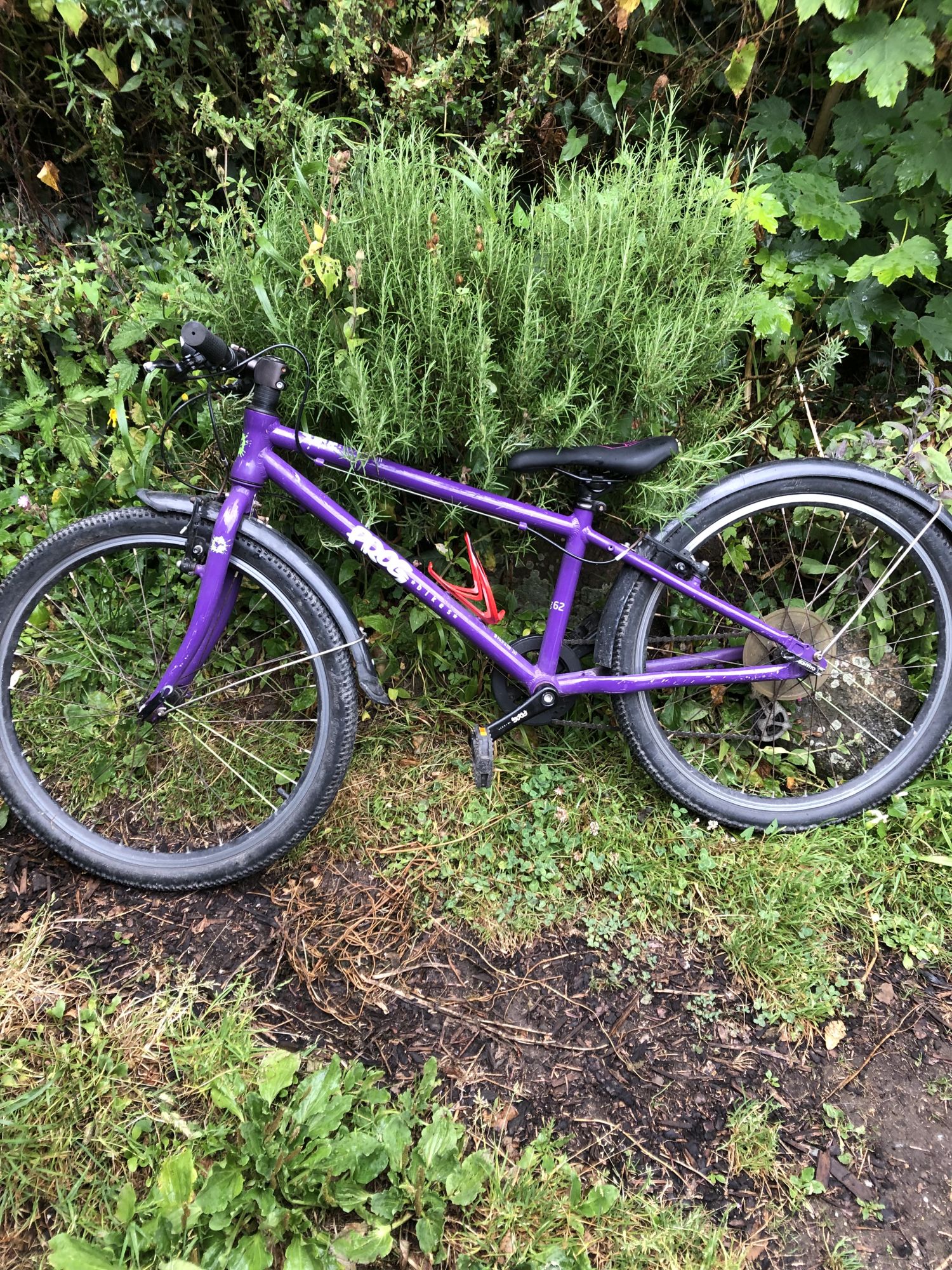 Boys FROG bike