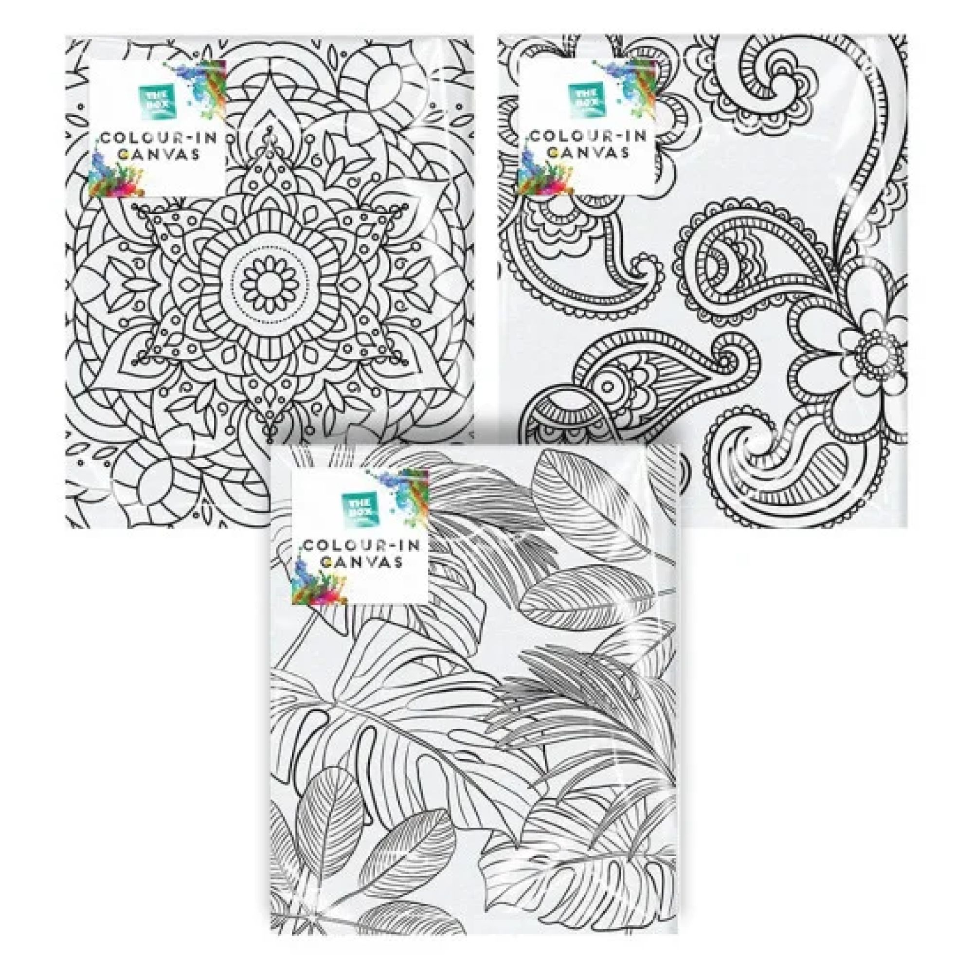 The Box Artist Colour-In Canvas 25cm x 30cm - Pack of 3