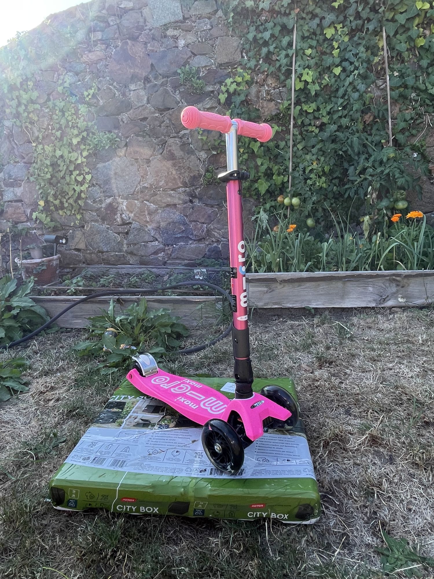 Kids Scooter Maxi Micro Foldable LED: Pink