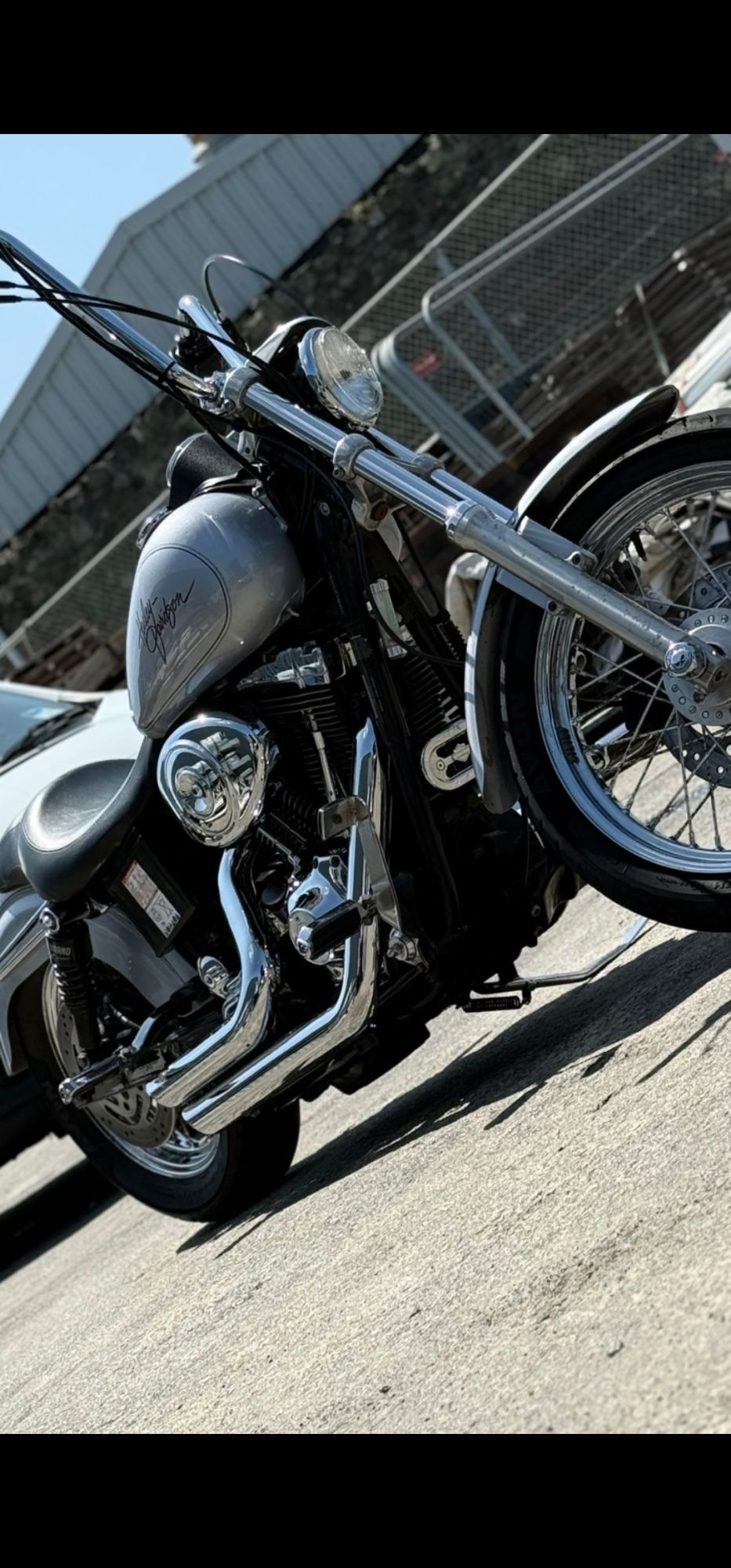 Dyna lowrider