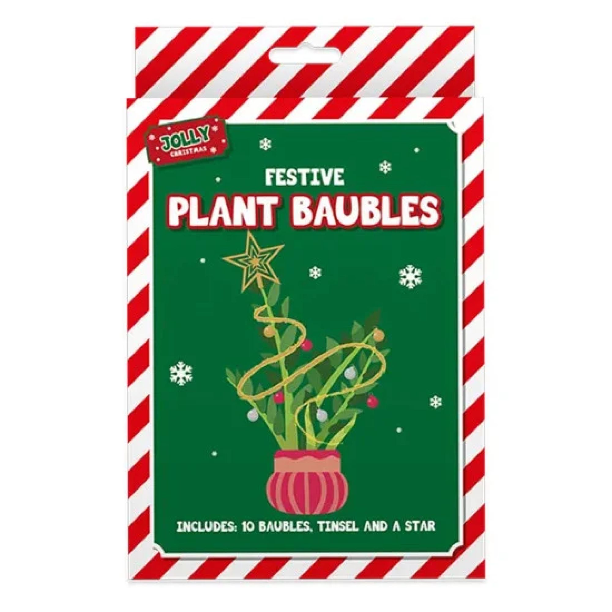 Jolly Chrismas Festive Plant Decoration Kit