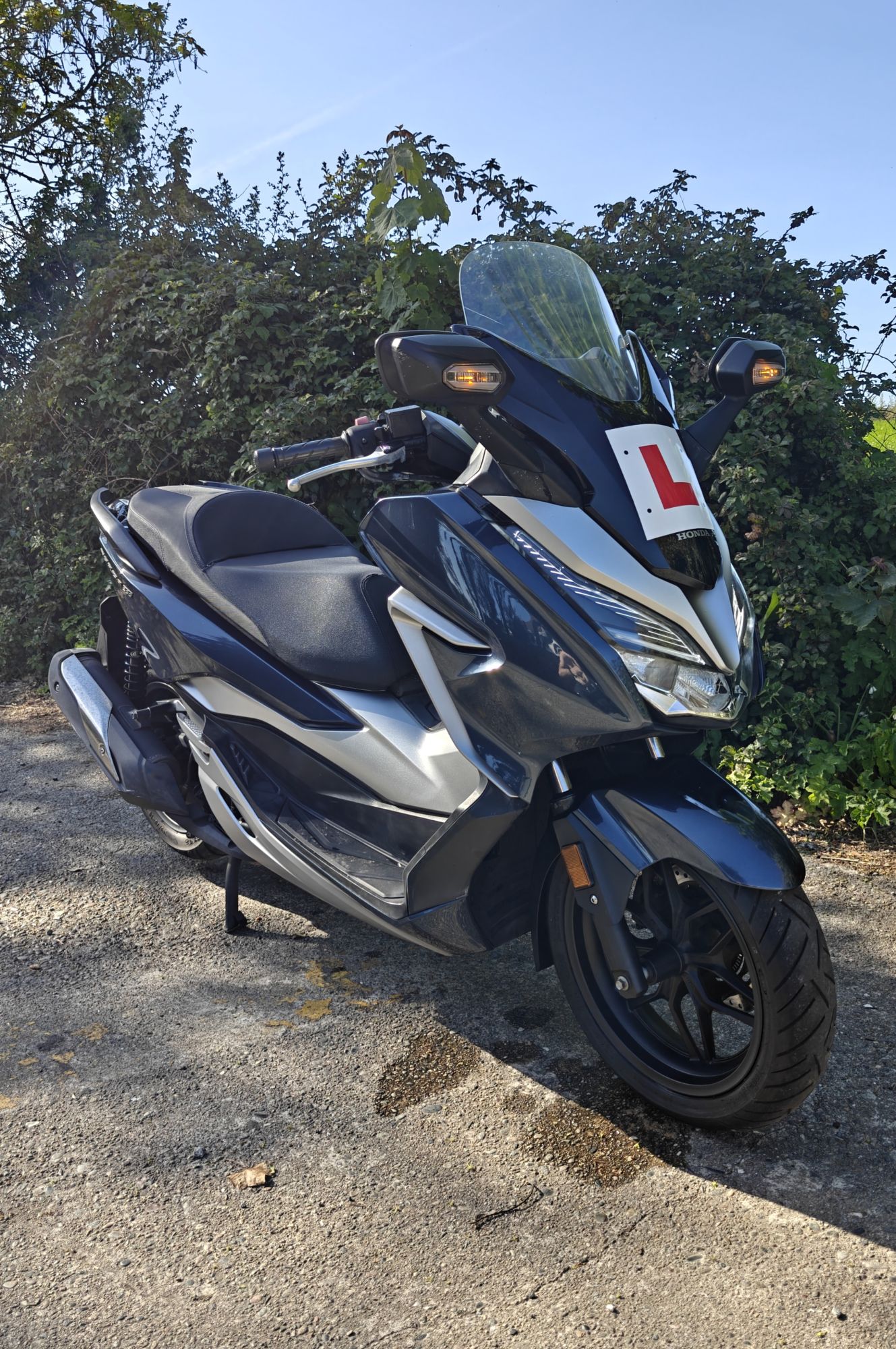 2019 Honda Forza NSS300
