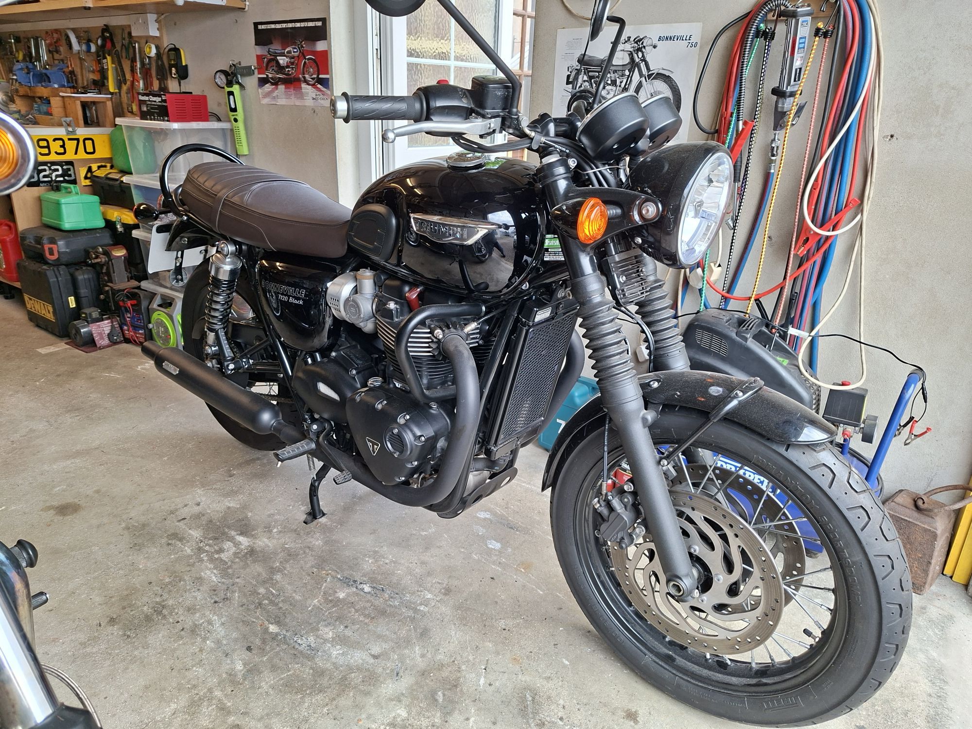 Triumph black T120