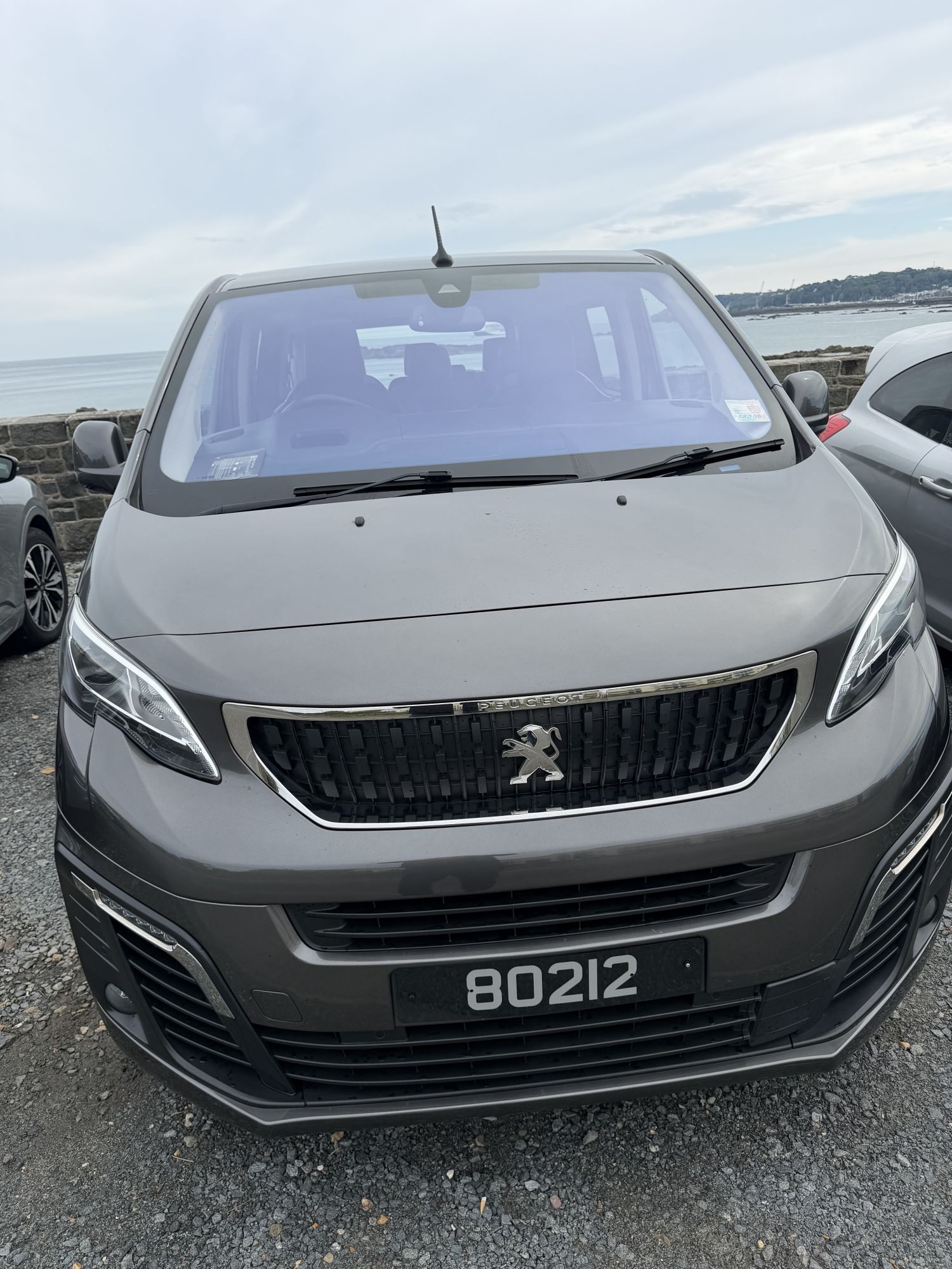 Peugeot Traveller 2021