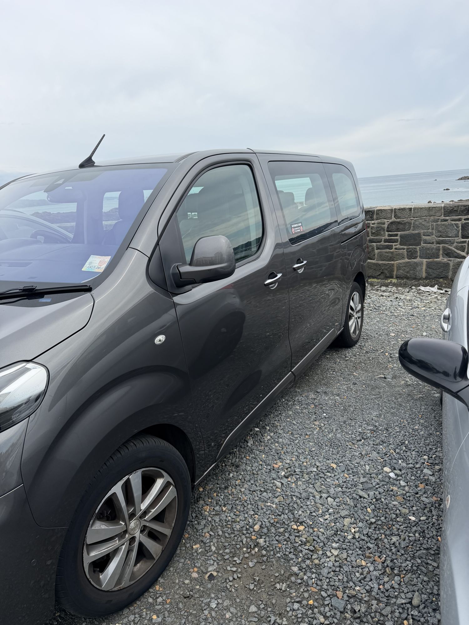 Peugeot Traveller 2021
