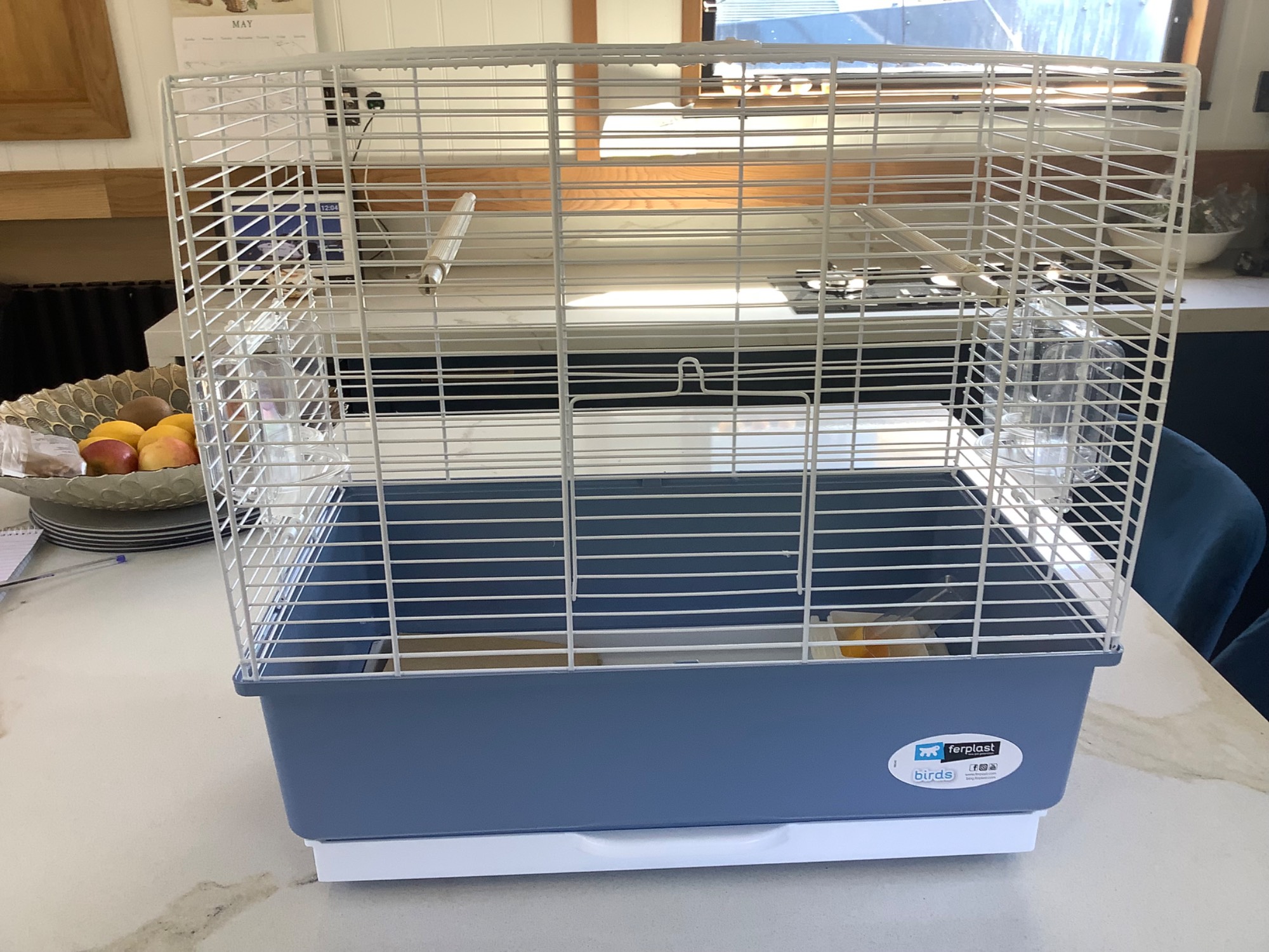 Brand New Budgie cage