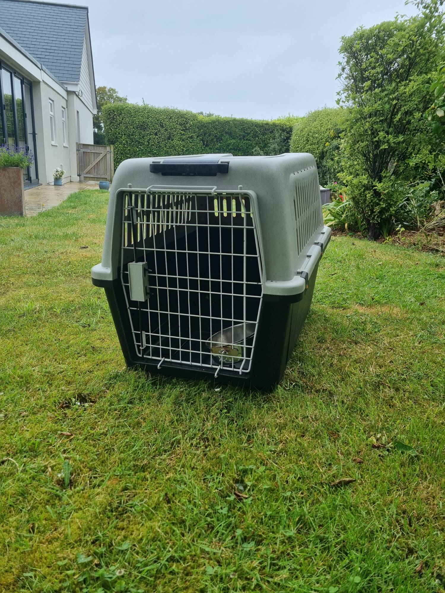 Dog Transporter Box.