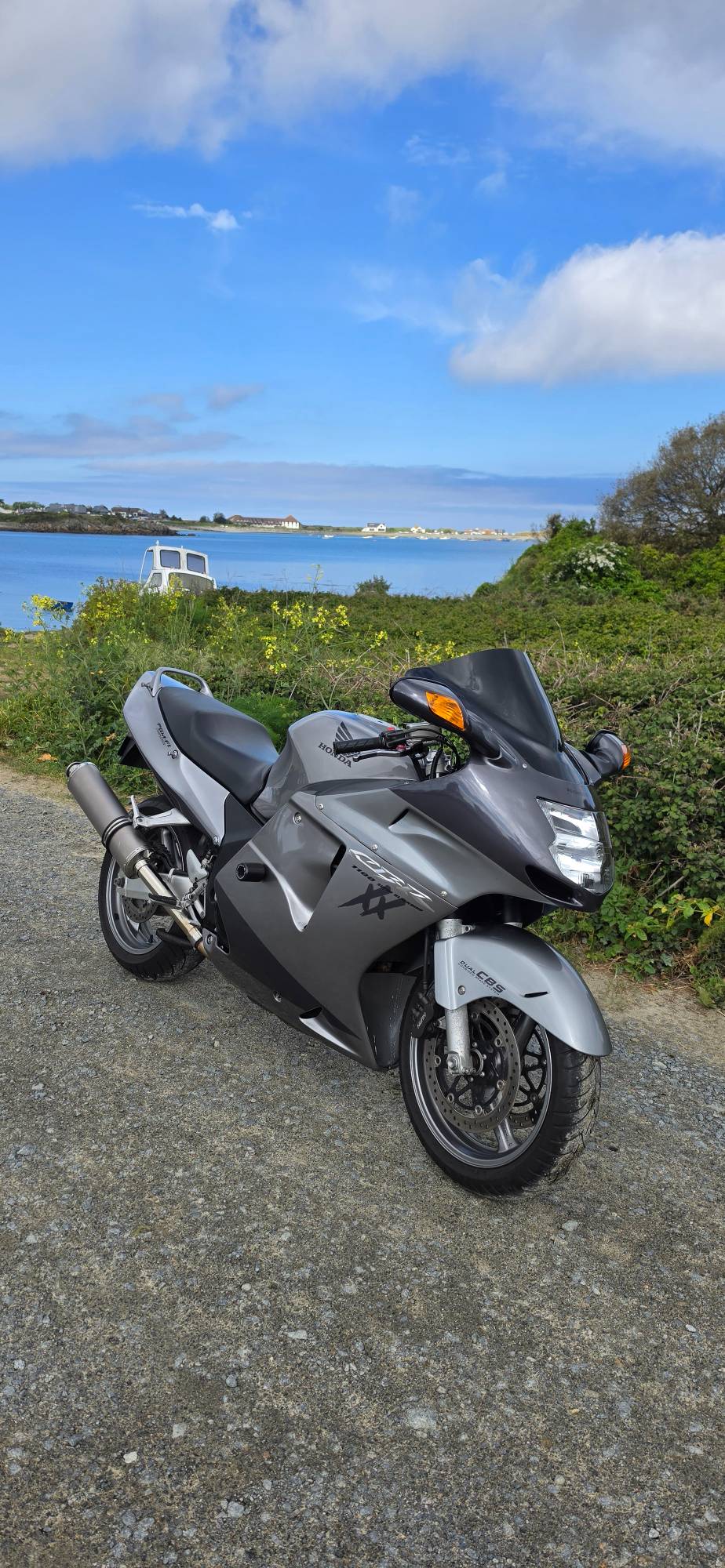Honda Blackbird