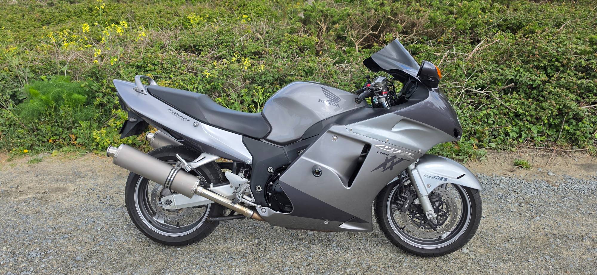 Honda Blackbird