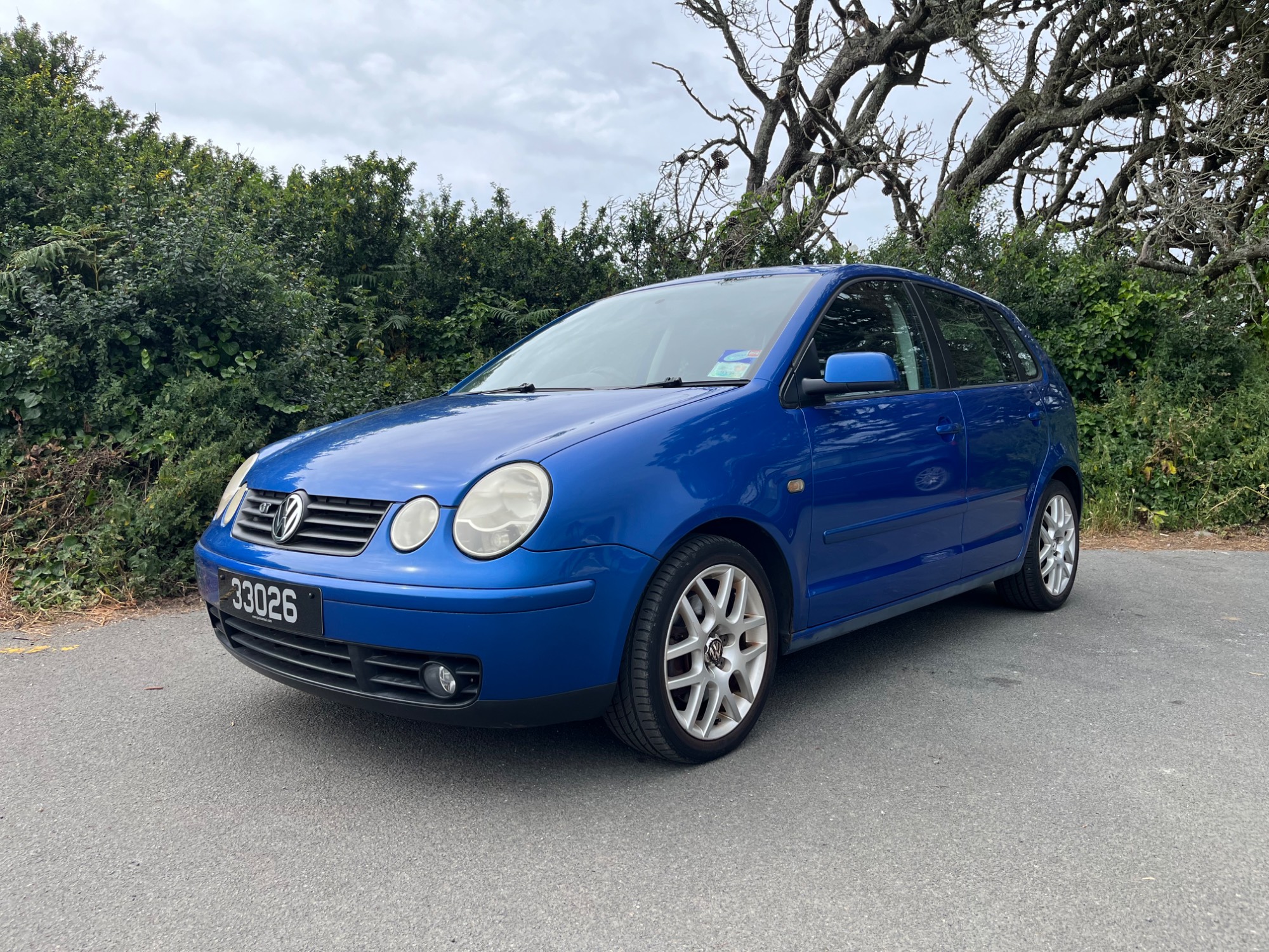 Volkswagen Polo GT TDI. 2005