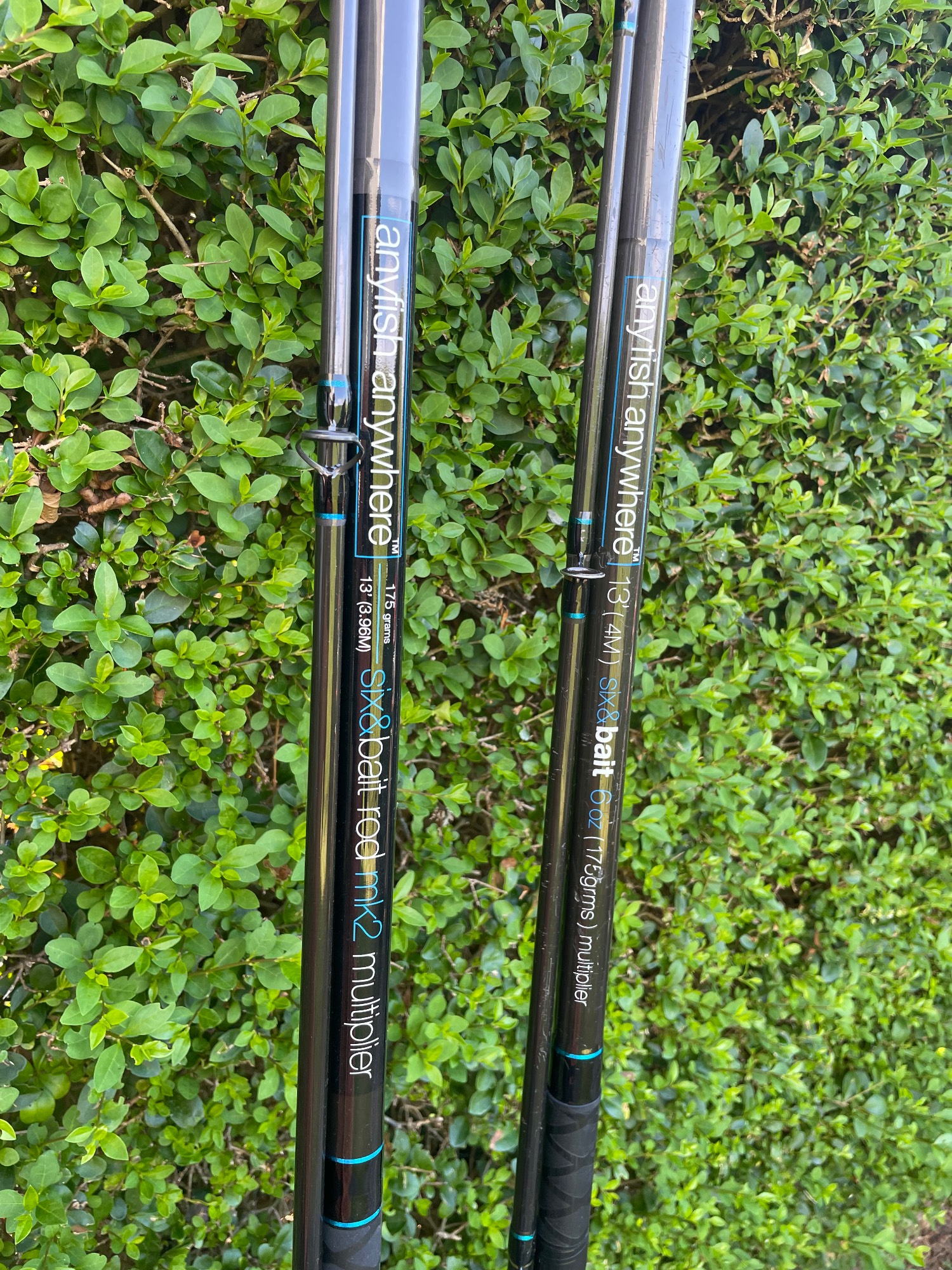 Fishing Rods (Pair) *Anyfish Anywhere*