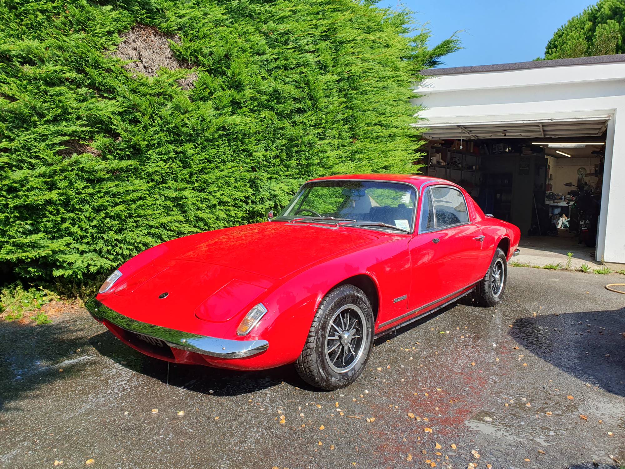 1968 Lotus Elan +2