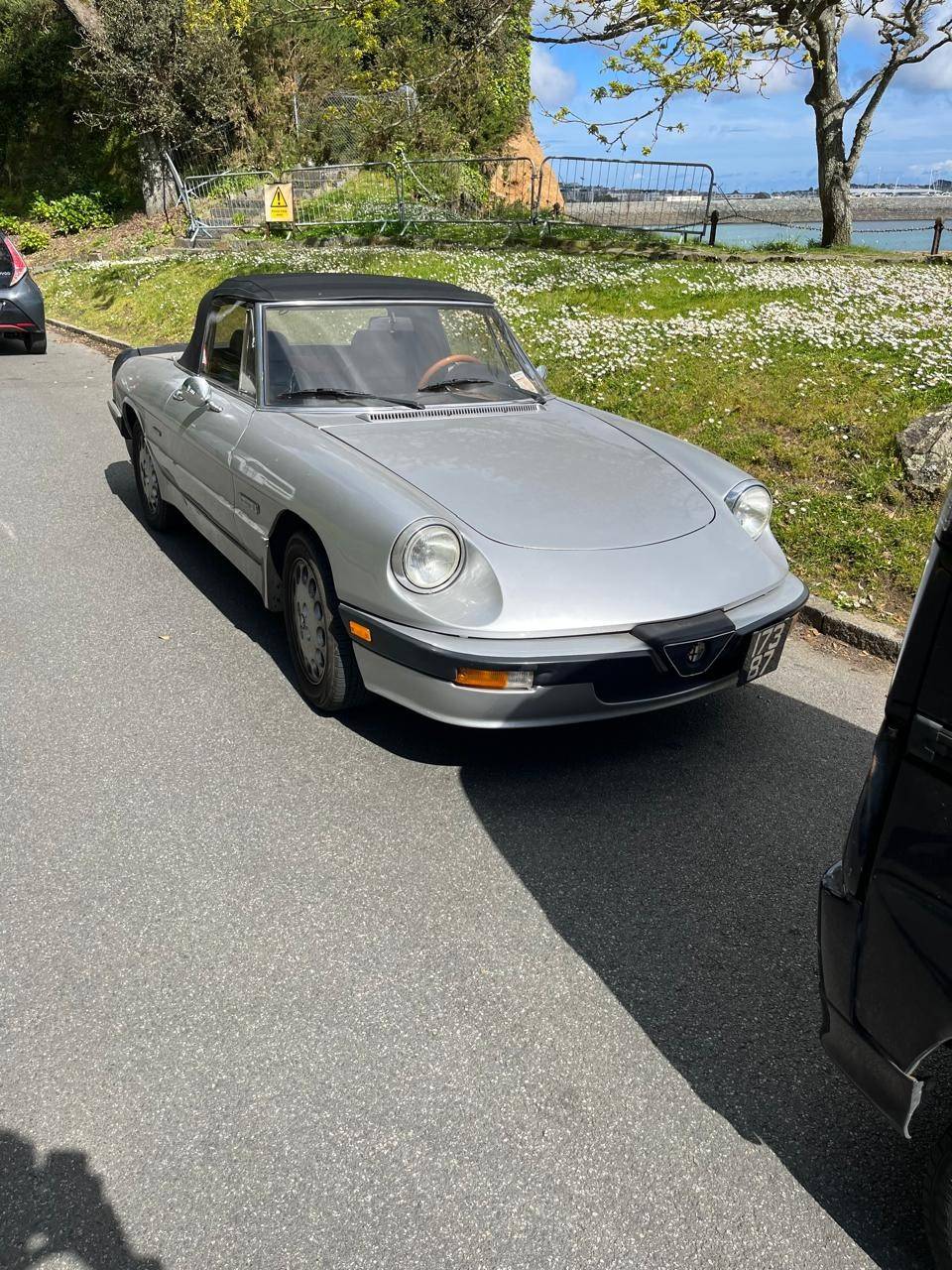 1986 Alfa Romeo Spider Quadrifoglio