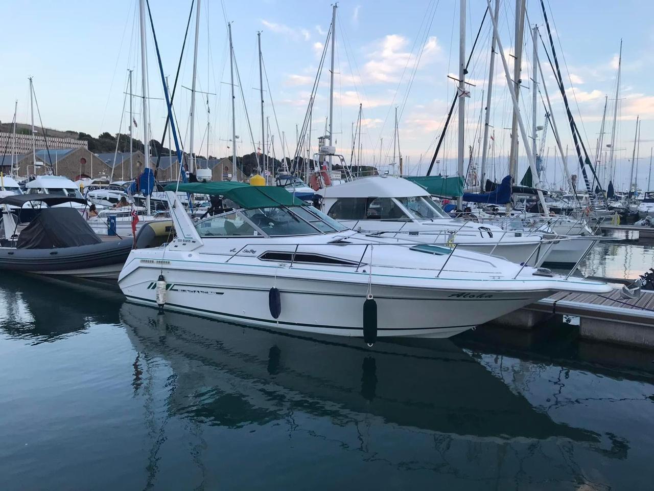 SeaRay sun-dancer 290