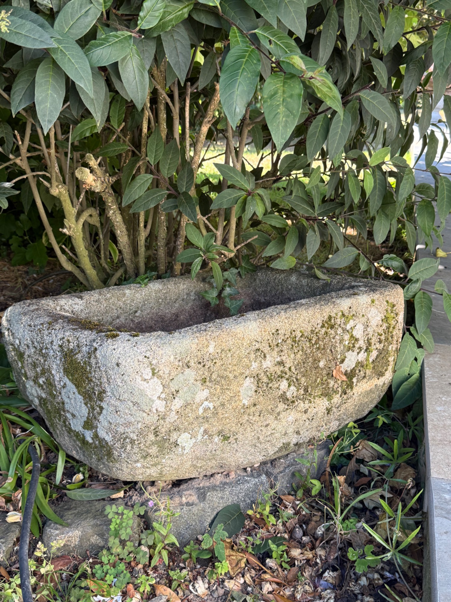 Weathered rectangular granite trough