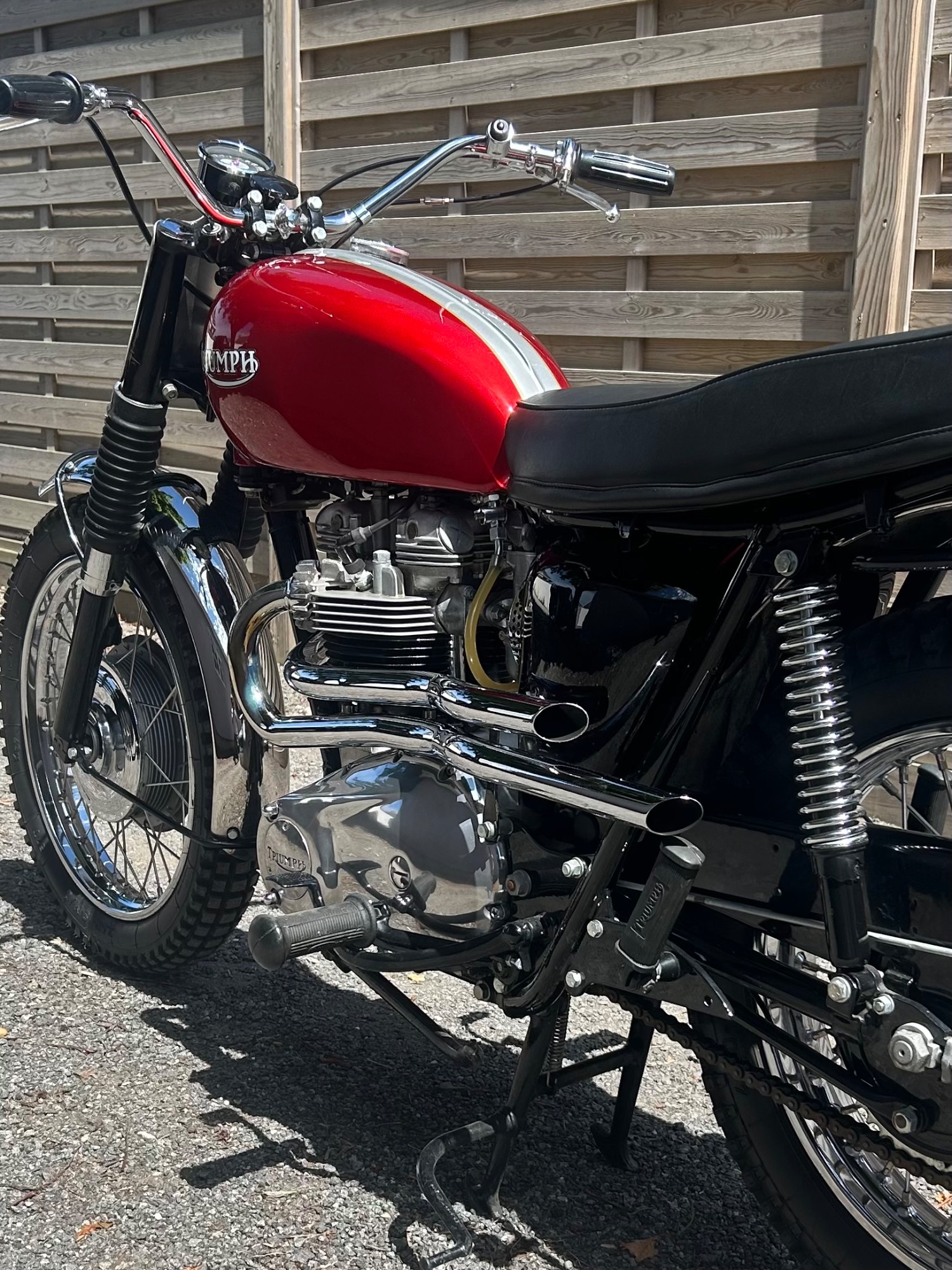 Triumph TR6C Desert Sled