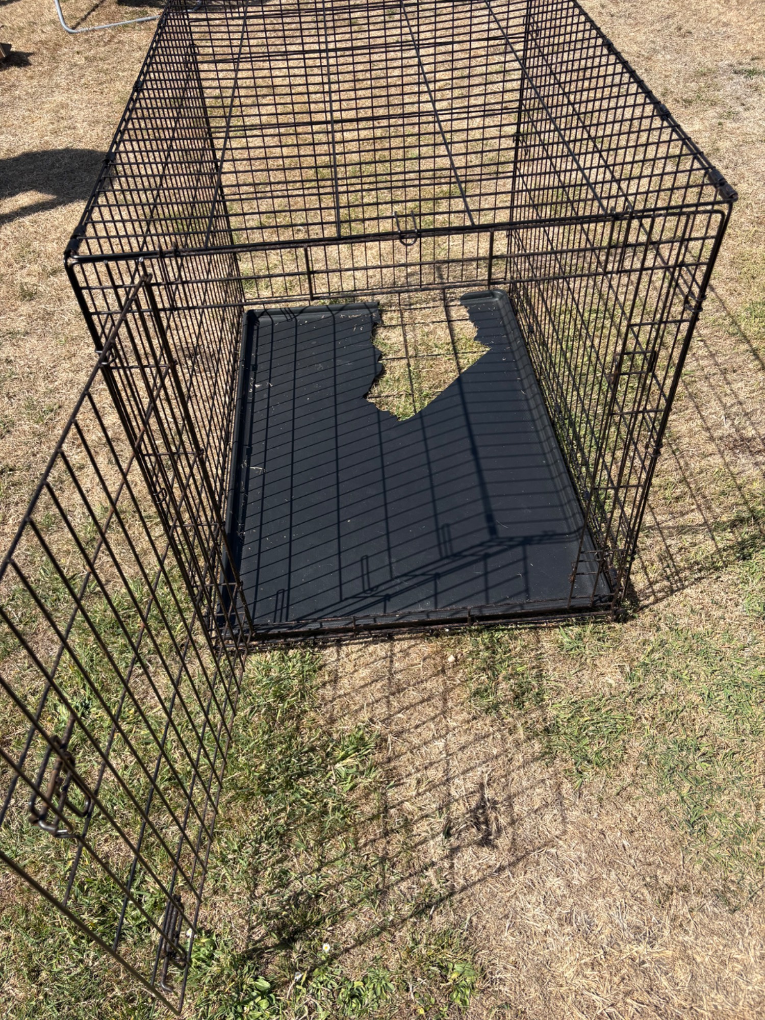 Dog crate Large