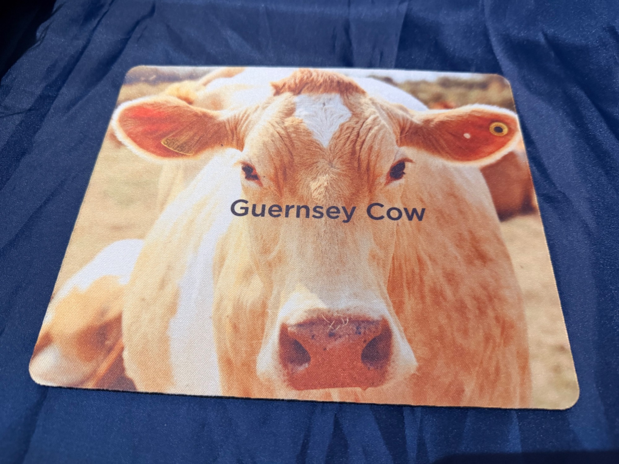Guernsey Mouse Mats