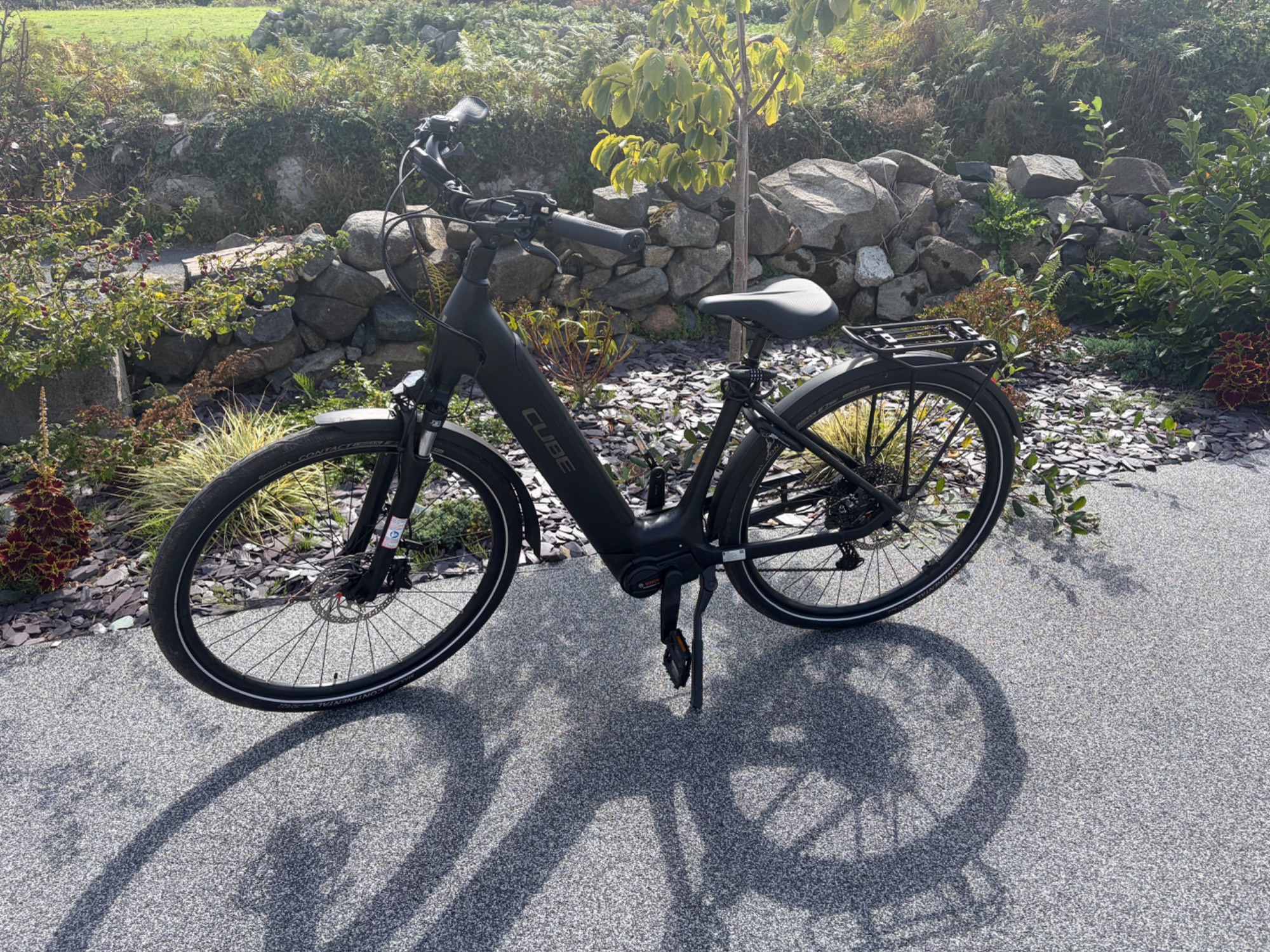 Cube Pro Electric Bike