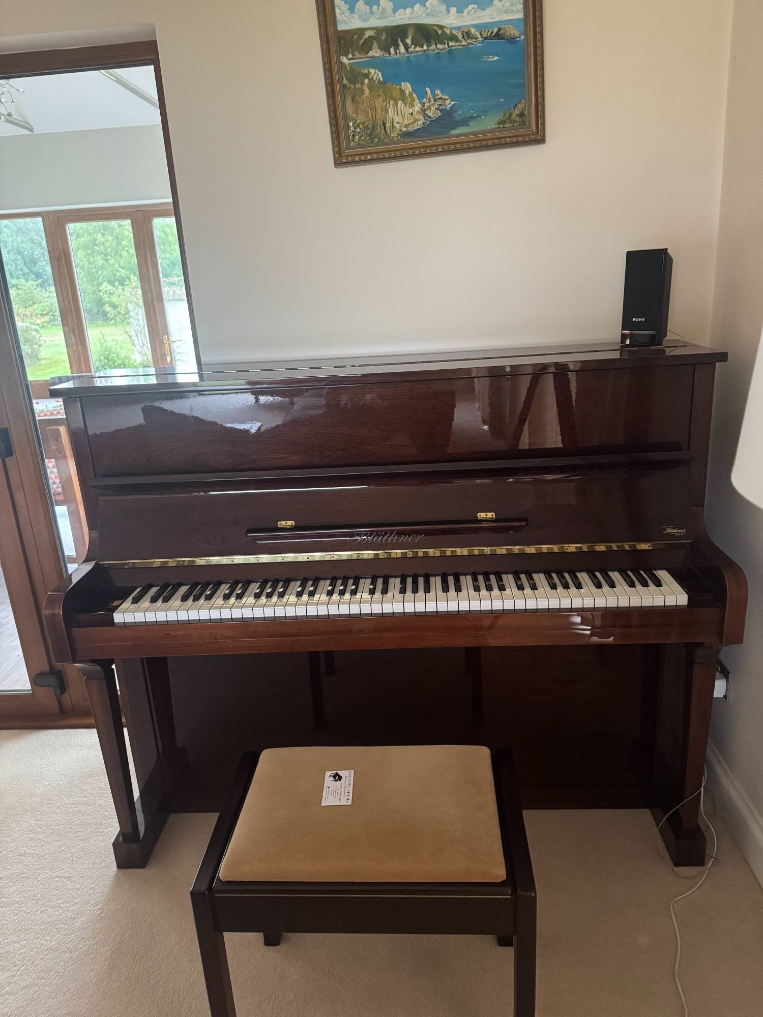 Bluthner Piano