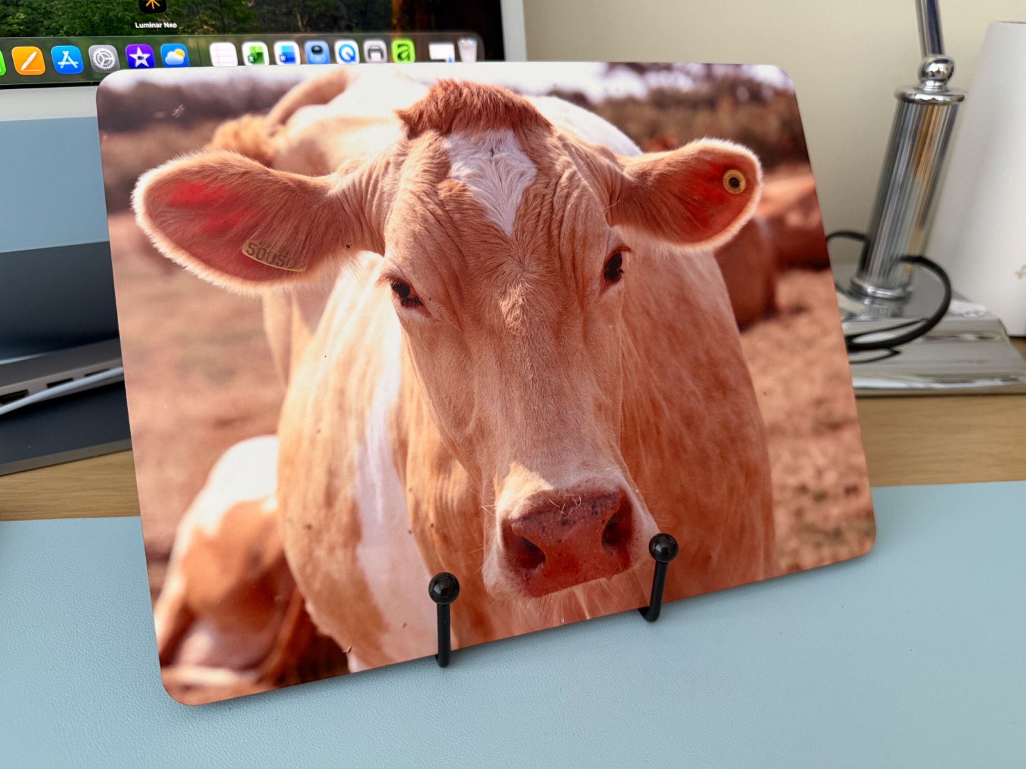 Guernsey Placemats