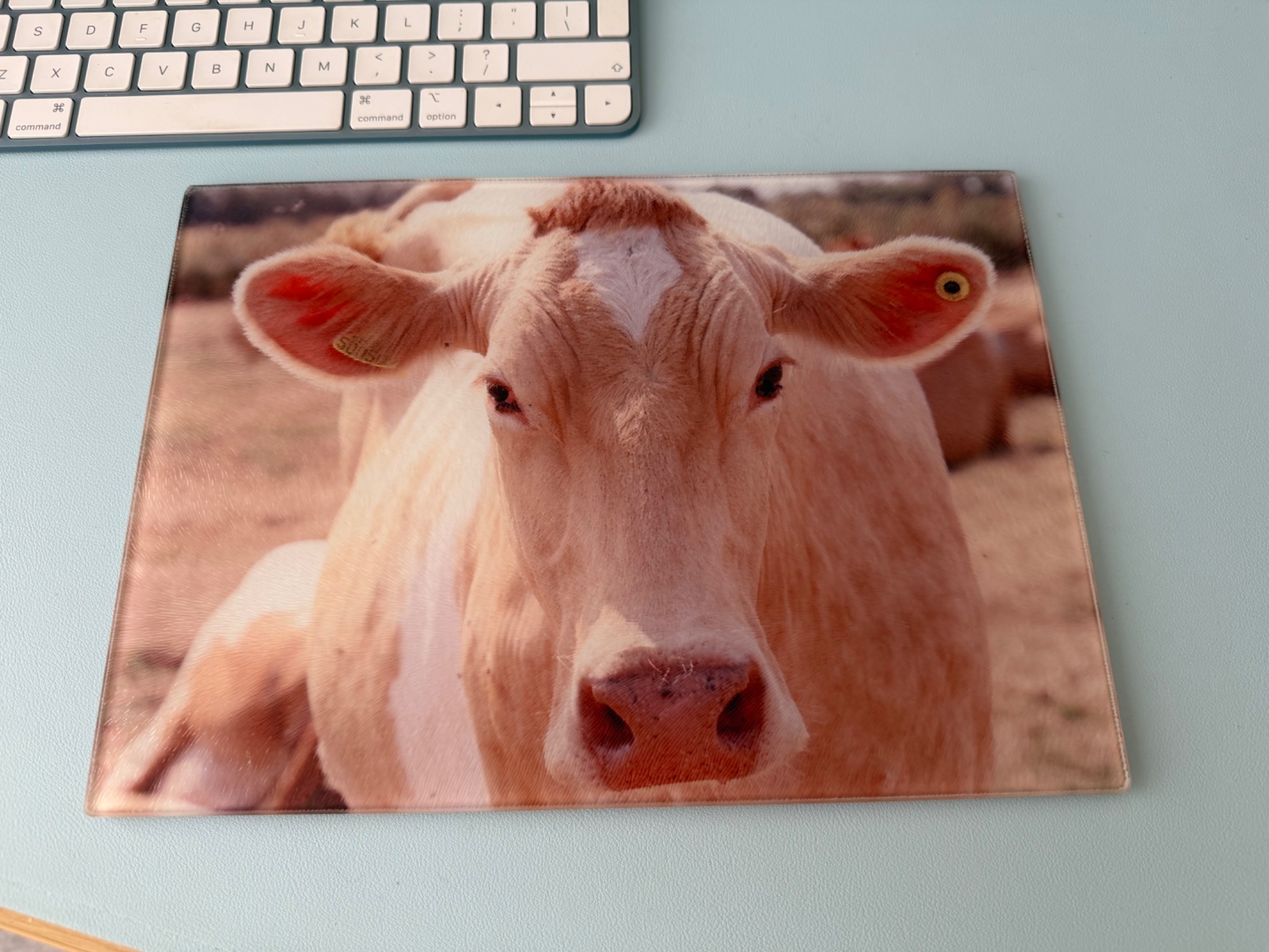 Large glass chopping board