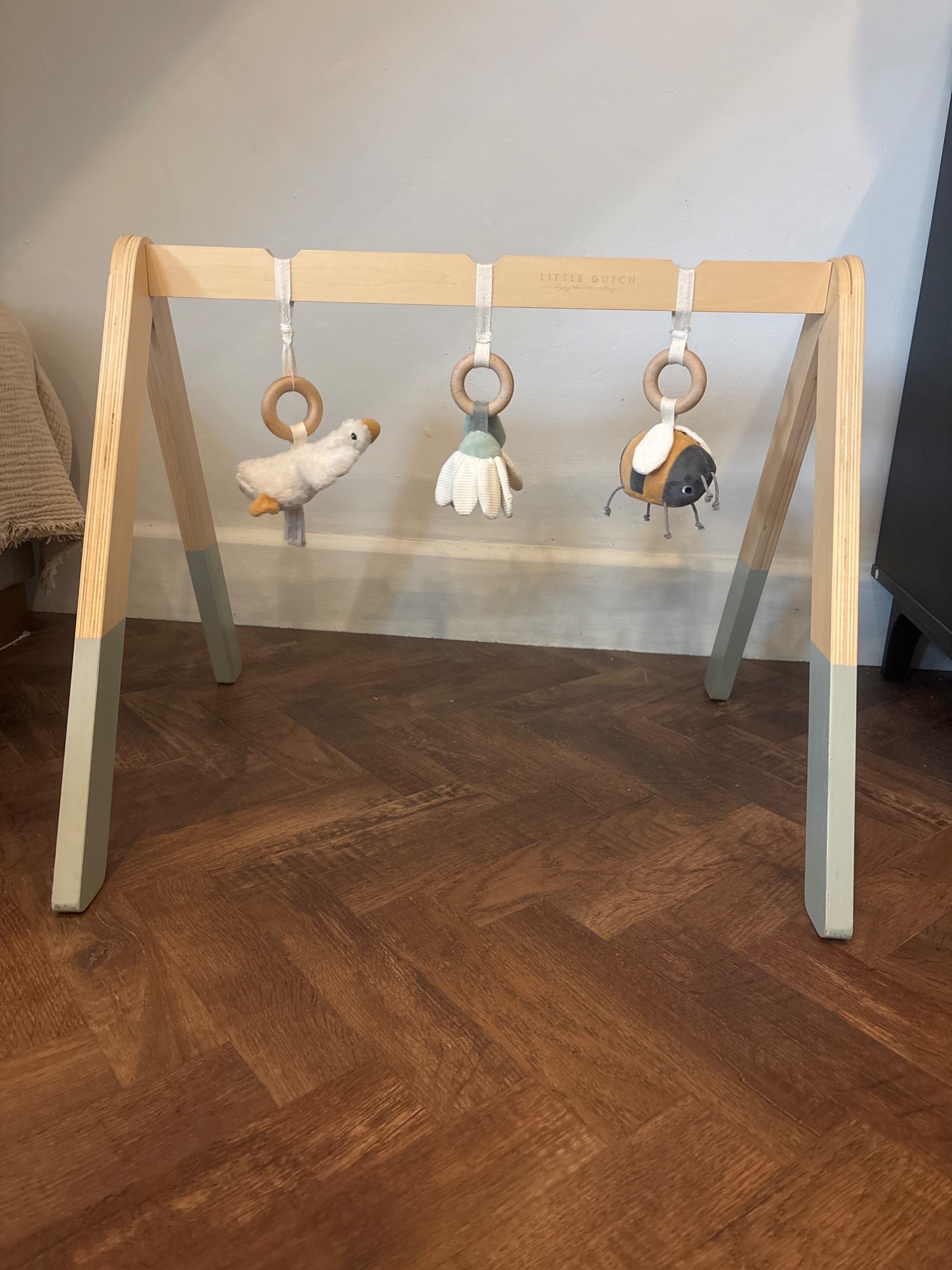 Little Dutch Baby Gym